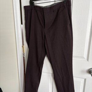 Express Dress Pants